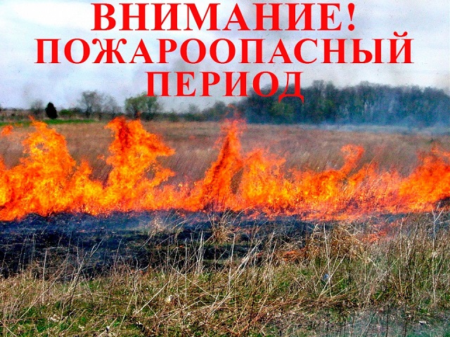 1648632029 a674ea073fb869205ac8efa20394c6e8