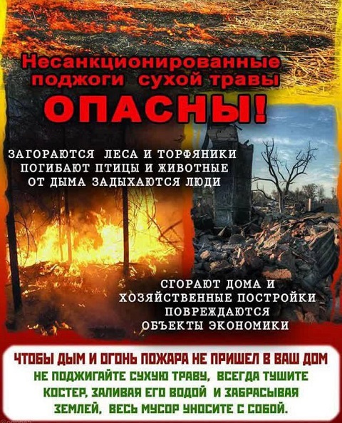 IMG 20220722 112606 798